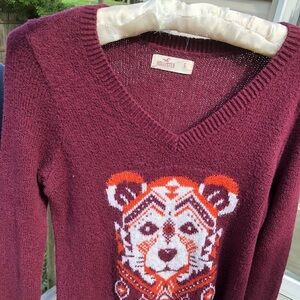 Hollister bear sweater for girls